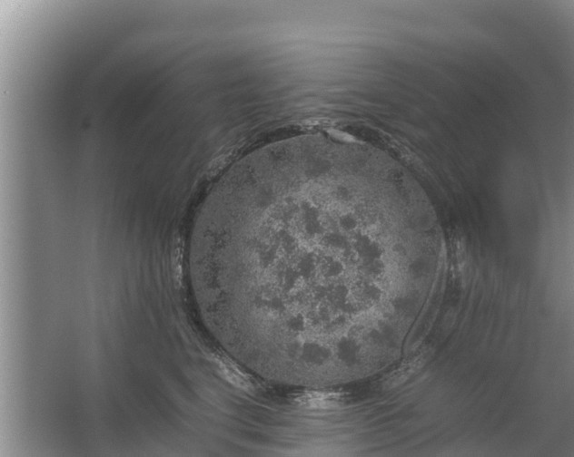 X0000067460664200604142326