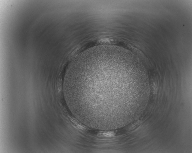 X0000067460665200604142326