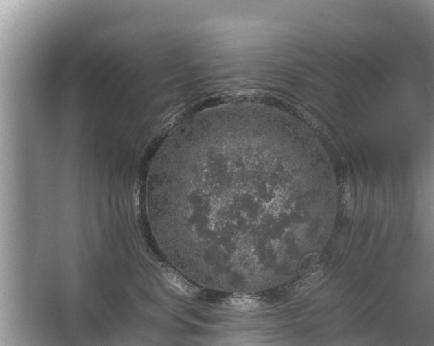 X0000067460668200604142326