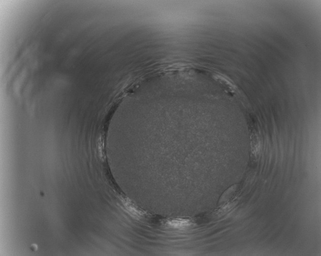 X0000067460669200604142326