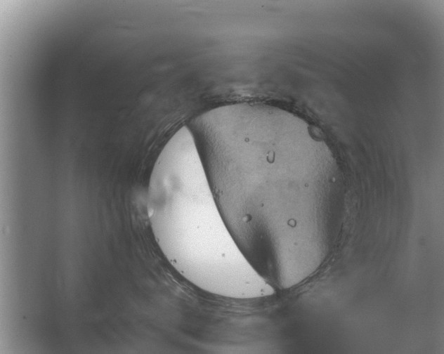 X0000067460672200604142326