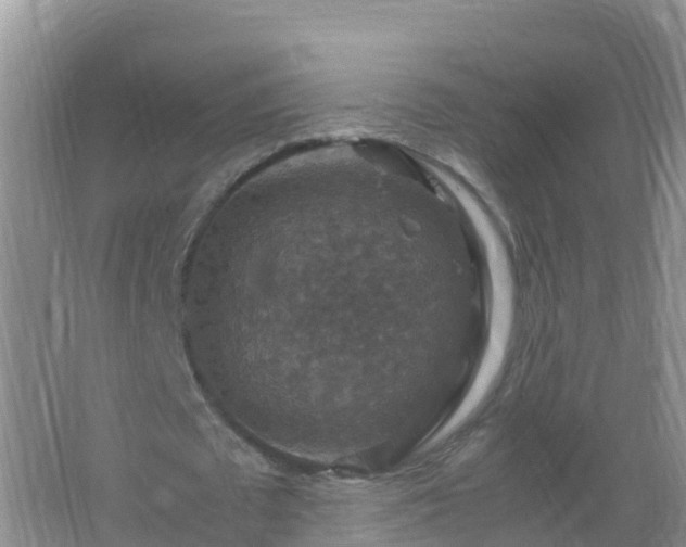 X0000067460673200604142325