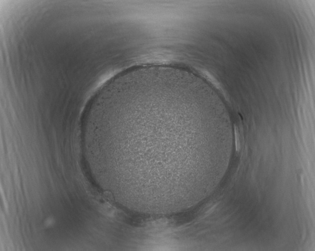 X0000067460675200604142325