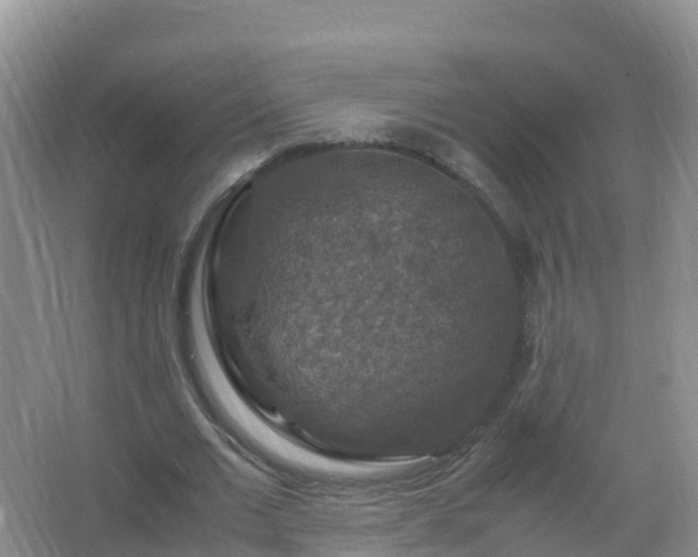 X0000067460677200604142325