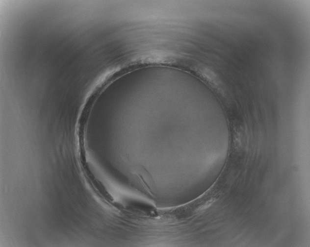 X0000067460678200604142325