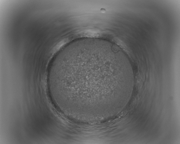 X0000067460679200604142325