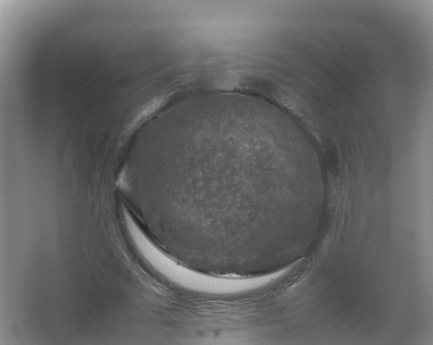 X0000067460681200604142325