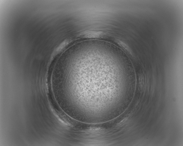 X0000067460682200604142325