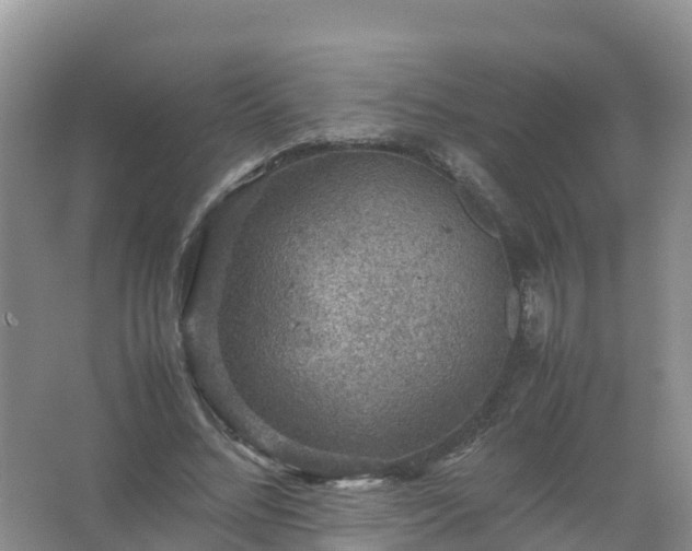 X0000067460684200604142325