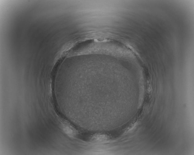 X0000067460685200604142325