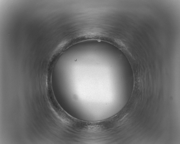 X0000067460686200604142325