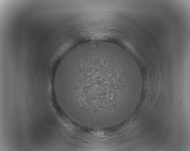 X0000067460687200604142325