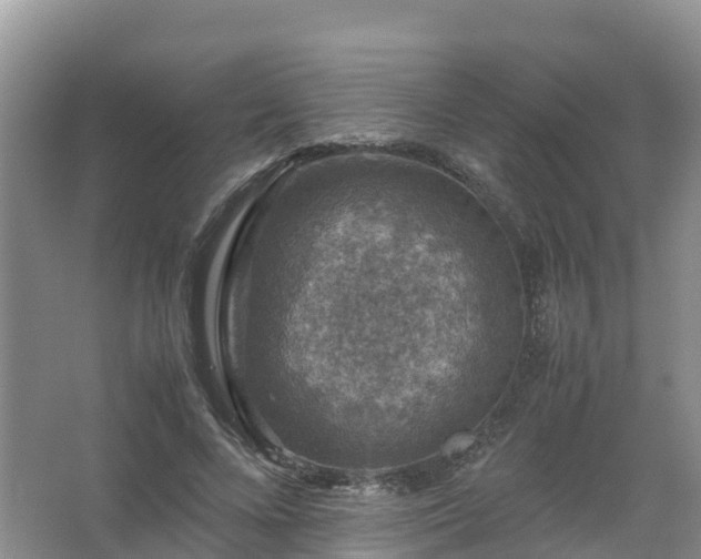 X0000067460688200604142325