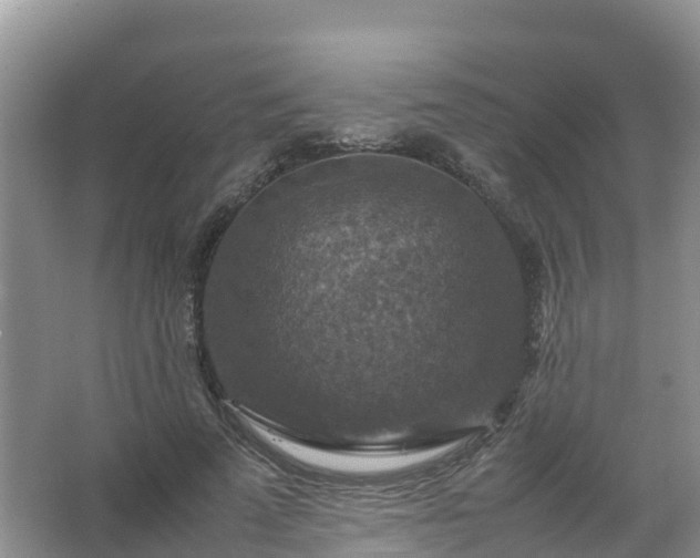 X0000067460689200604142325