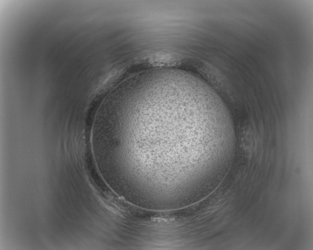 X0000067460690200604142325