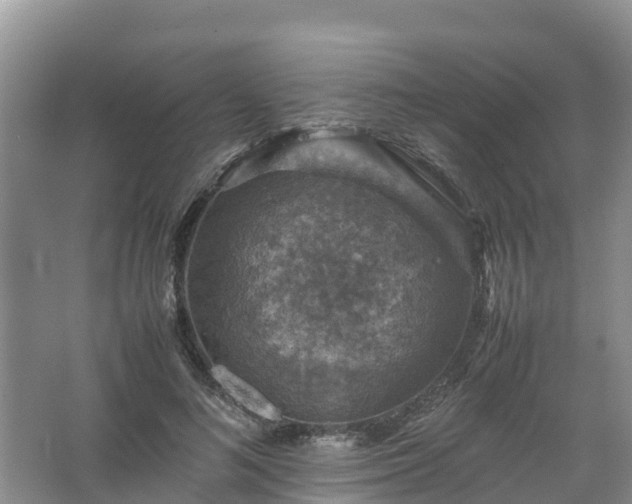 X0000067460692200604142325