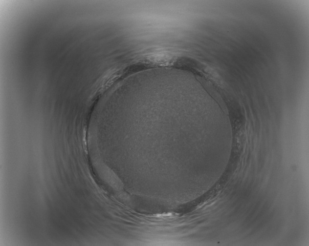 X0000067460693200604142325