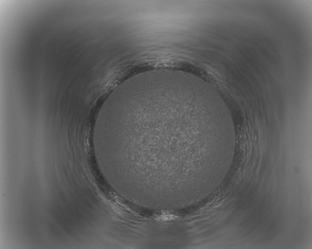 X0000067460695200604142325