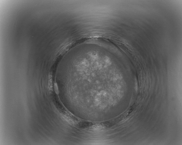 X0000067460696200604142325