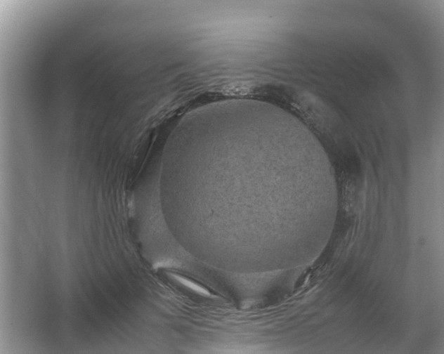 X0000067460697200604142325