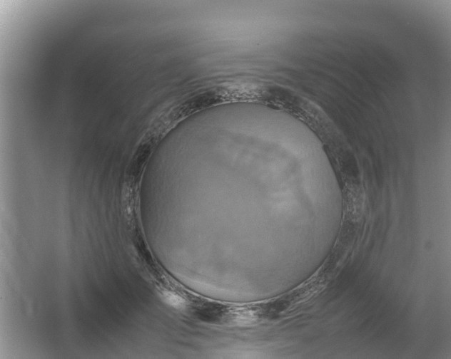 X0000067460701200604142325