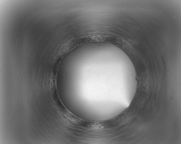 X0000067460702200604142325