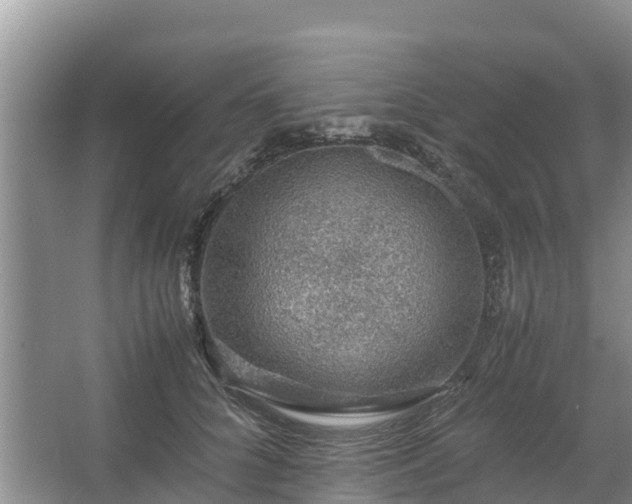 X0000067460704200604142325