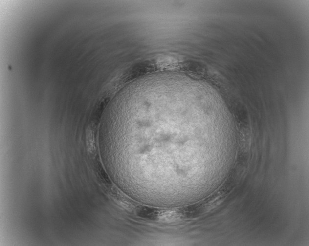 X0000067460705200604142325