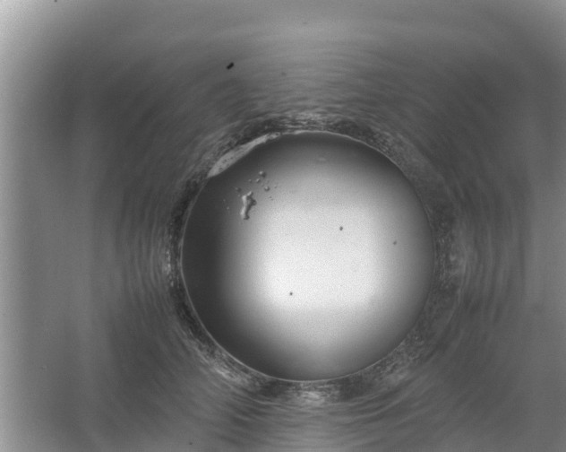 X0000067460706200604142325