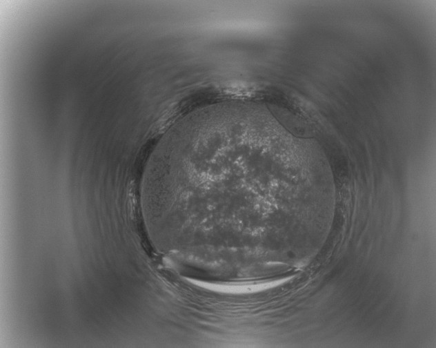 X0000067460707200604142325