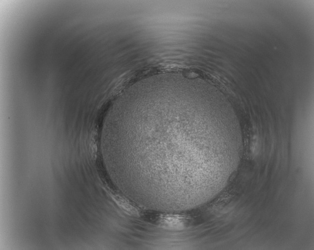 X0000067460710200604142325