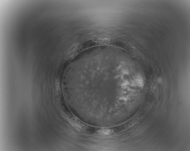 X0000067460711200604142325