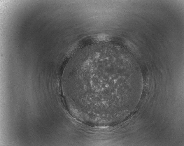 X0000067460715200604142325