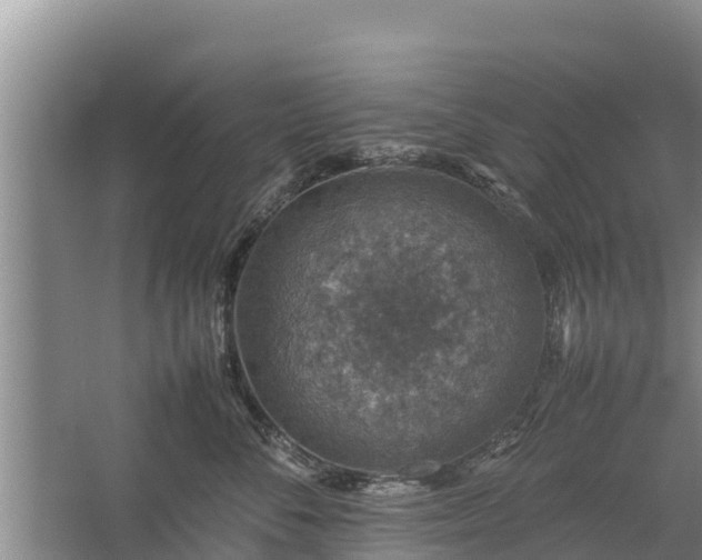 X0000067460716200604142324