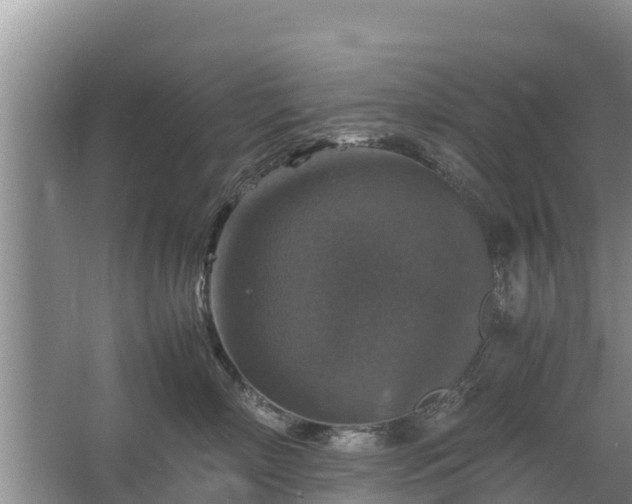 X0000067460718200604142324