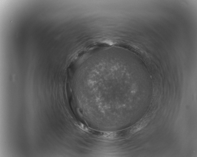 X0000067460720200604142324