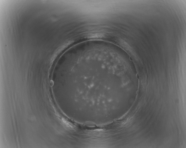 X0000067460721200604142324