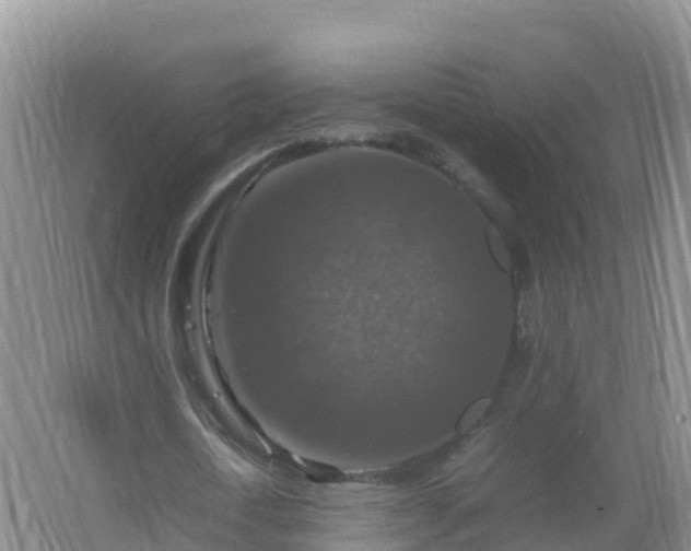 X0000067460722200604142324