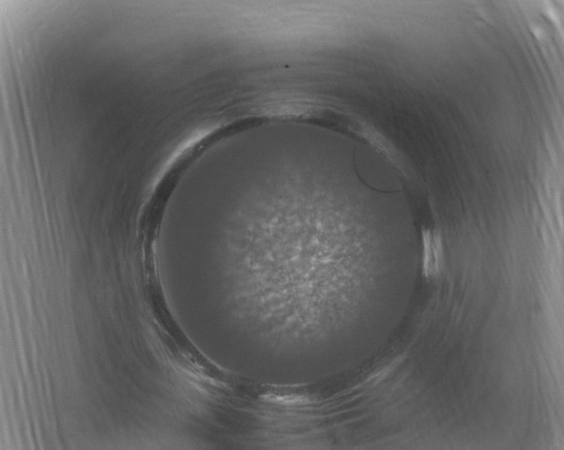 X0000067460723200604142324