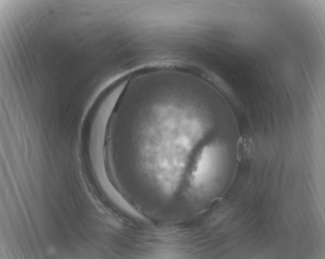 X0000067460724200604142324