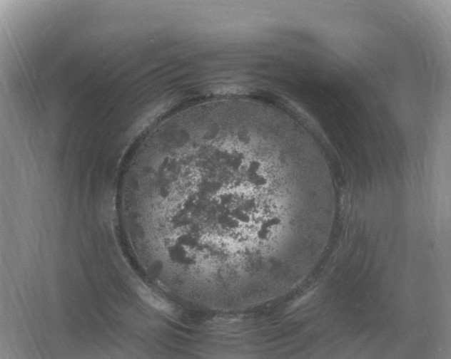 X0000067460725200604142324