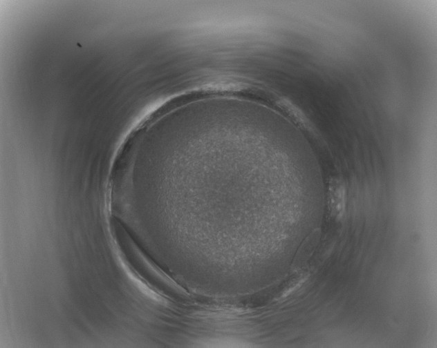 X0000067460726200604142324