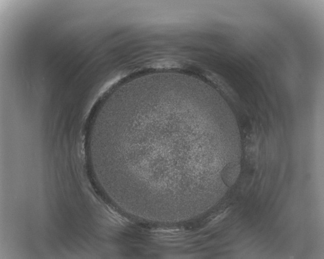 X0000067460727200604142324