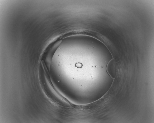 X0000067460728200604142324