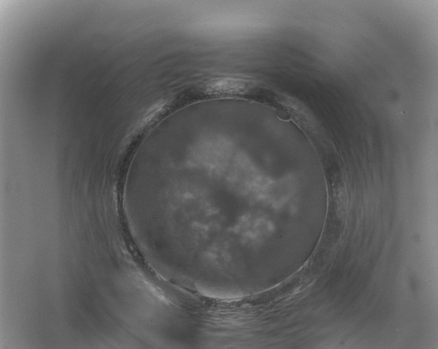 X0000067460729200604142324