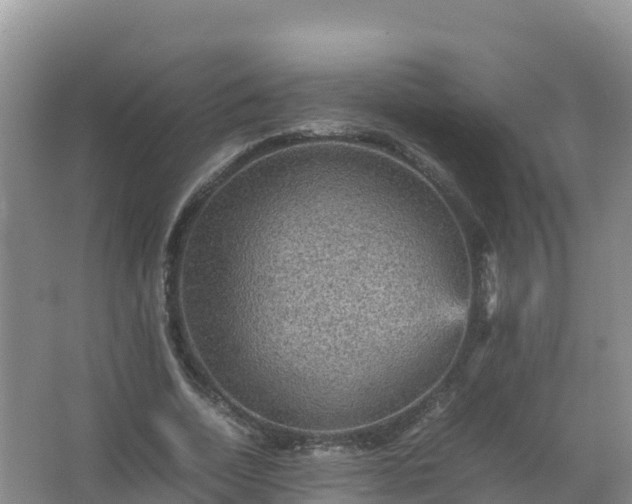 X0000067460730200604142324