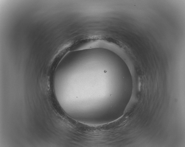 X0000067460731200604142324