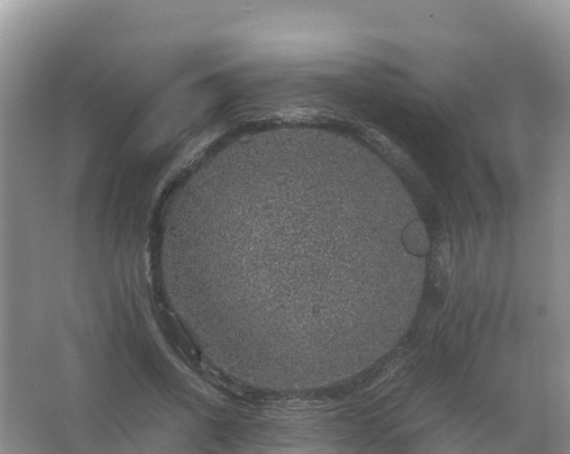 X0000067460734200604142324