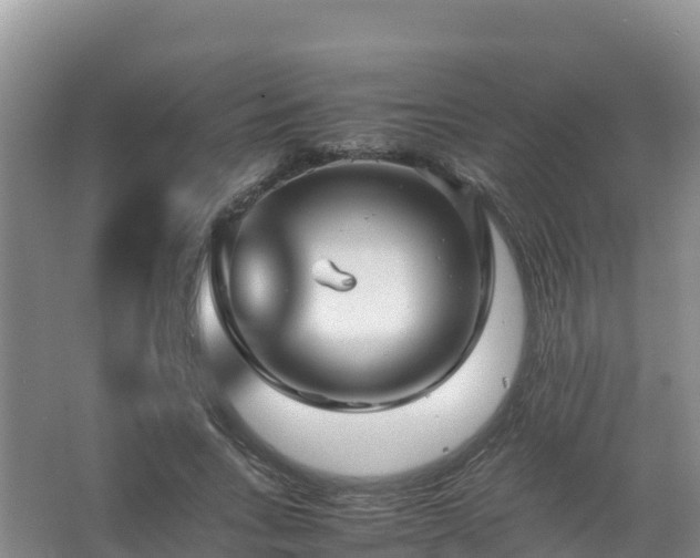 X0000067460735200604142324