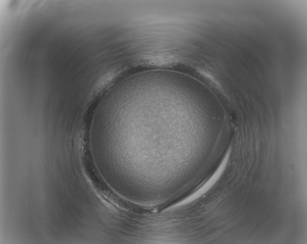 X0000067460736200604142324